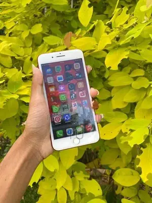 Apple iPhone 7 Plus 256 (Used)