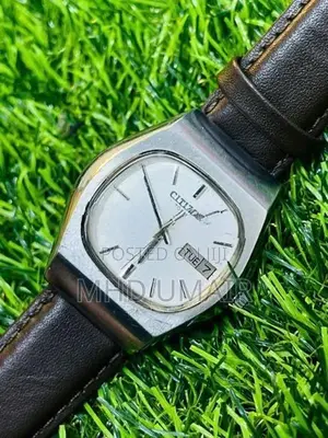 citizen automatic working perfectly