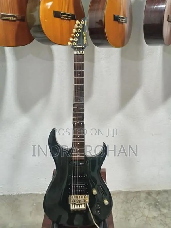 fernandes sustain
