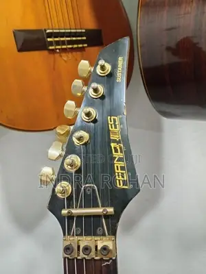 fernandes sustain