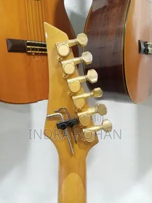 fernandes sustain