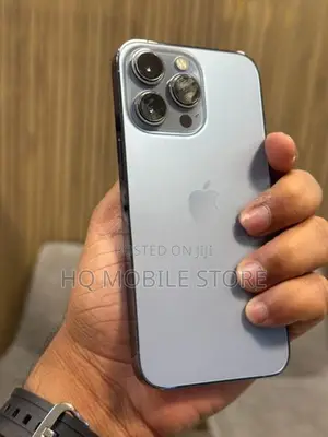 Apple iPhone 13 Pro 256GB (Used)