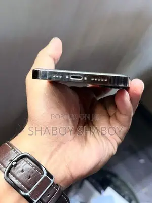 Apple iPhone 12 Pro Battery 81%🔋 (Used)