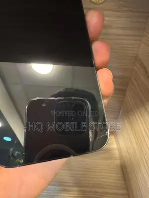 Apple iPhone 13 Pro 256GB (Used)