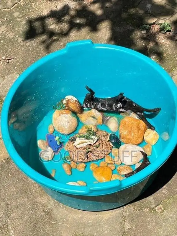 Fish Tank with Equipment