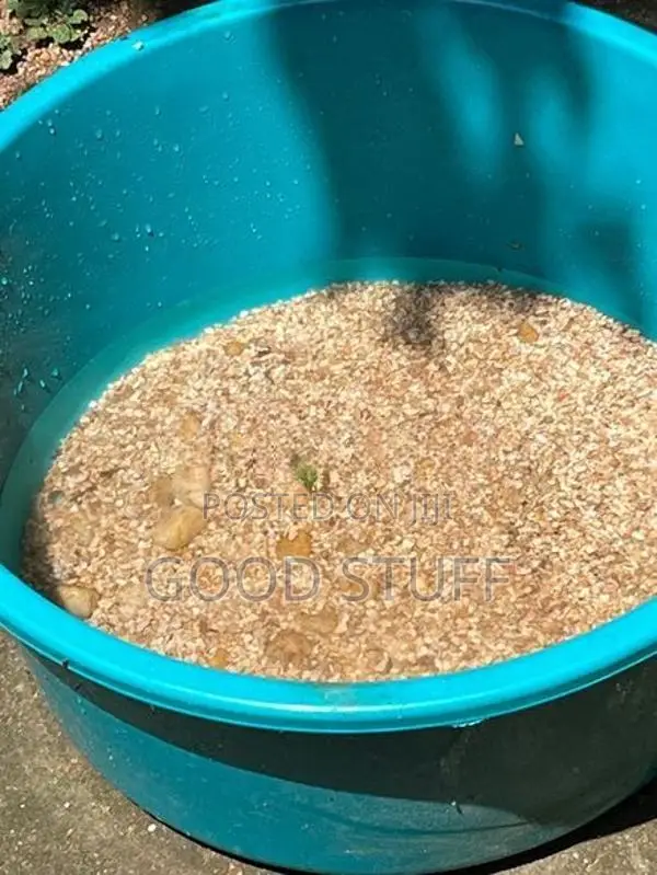 Fish Tank with Equipment