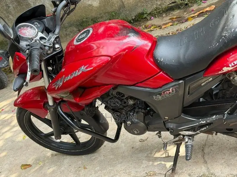 Hero Hunk 2010