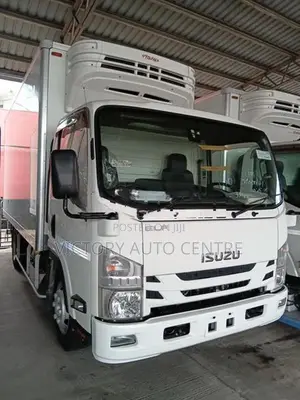 Isuzu Elf Freezer 2018