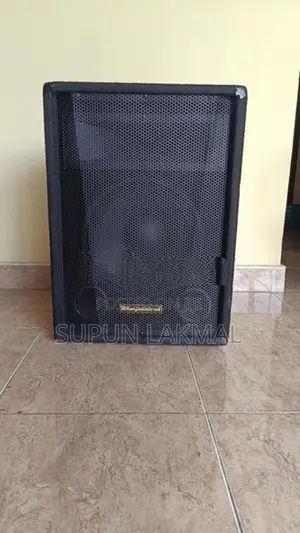 12 Wharfedale Speaker