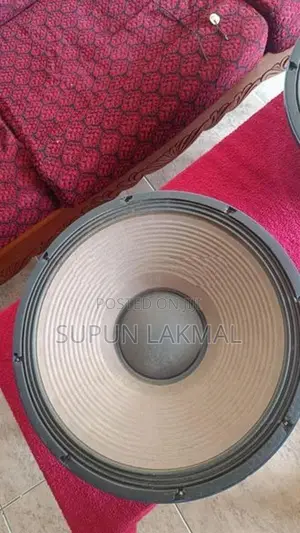 Speaker