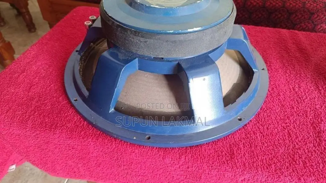Speaker