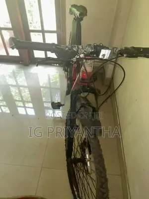 Mountain Bicycle