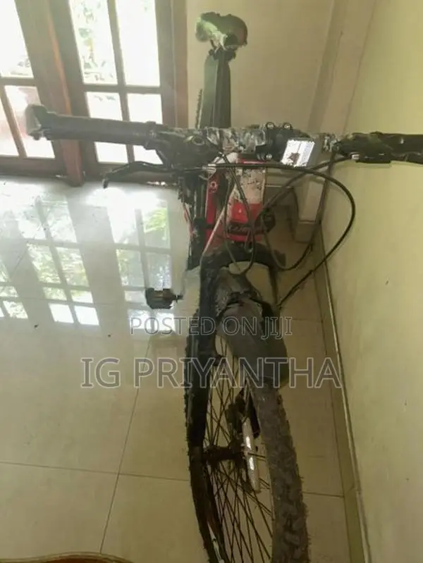 Mountain Bicycle