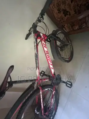 Mountain Bicycle