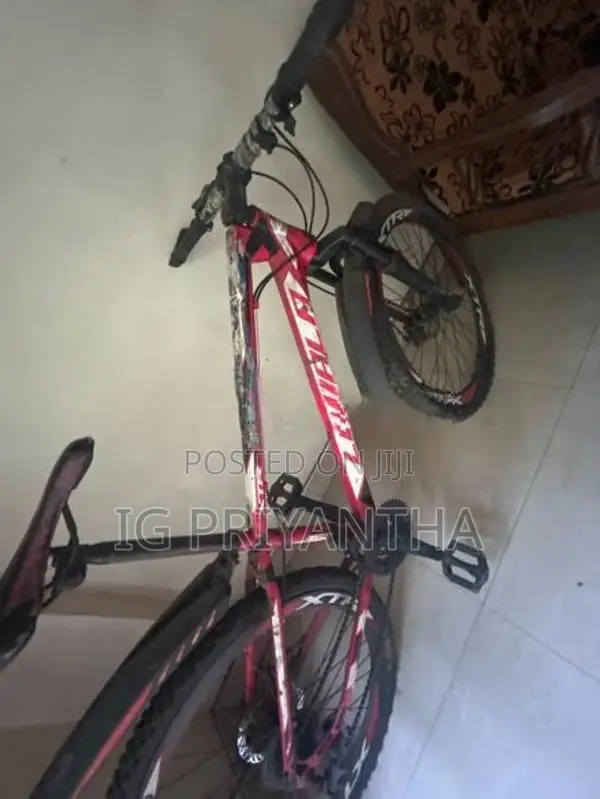 Mountain Bicycle