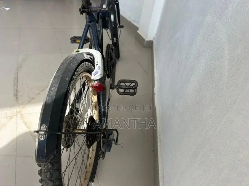 Folding Bicycle