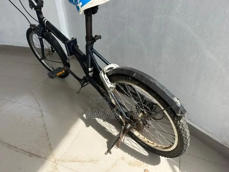 Folding Bicycle