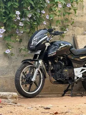 Bajaj Pulsar 200 2009