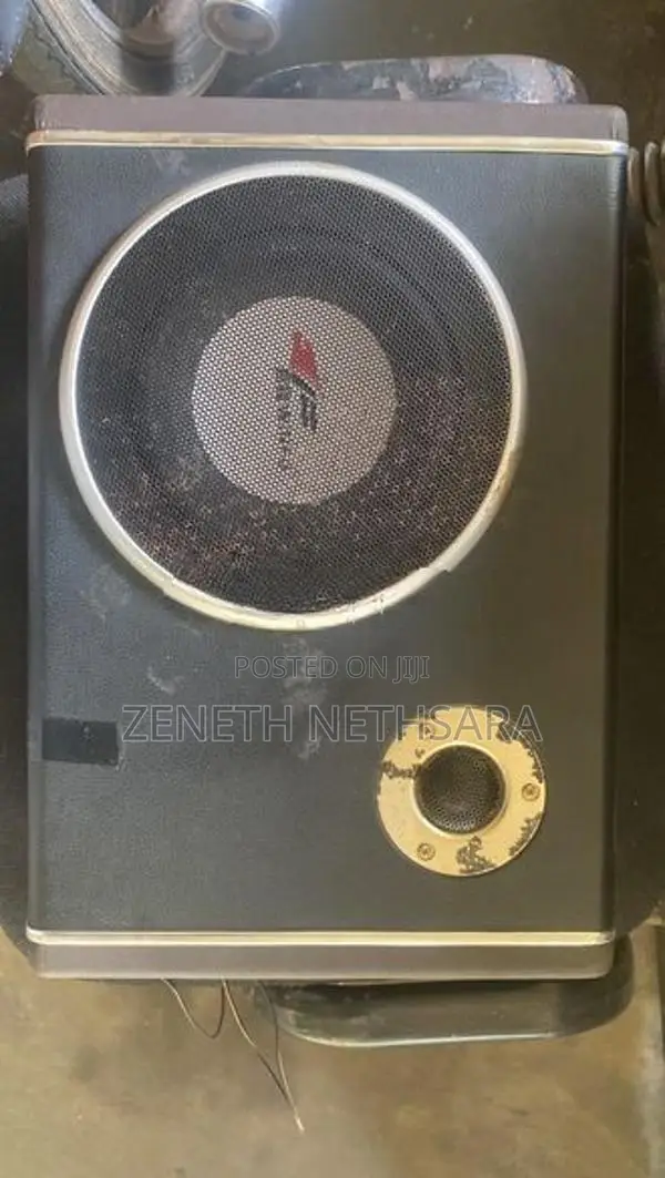 Car Subwoofer