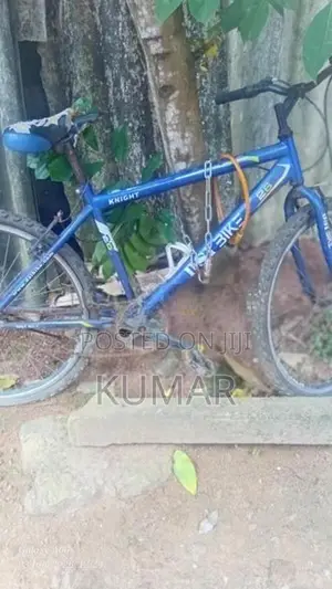 DSI Bicycle