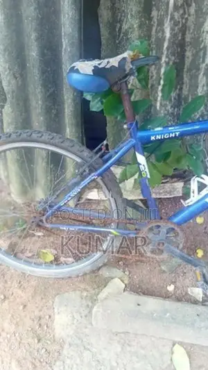 DSI Bicycle