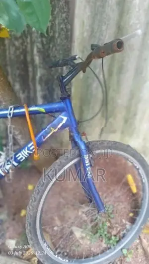 DSI Bicycle