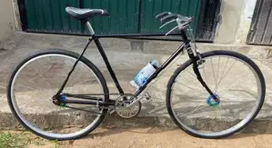 standard bicycle