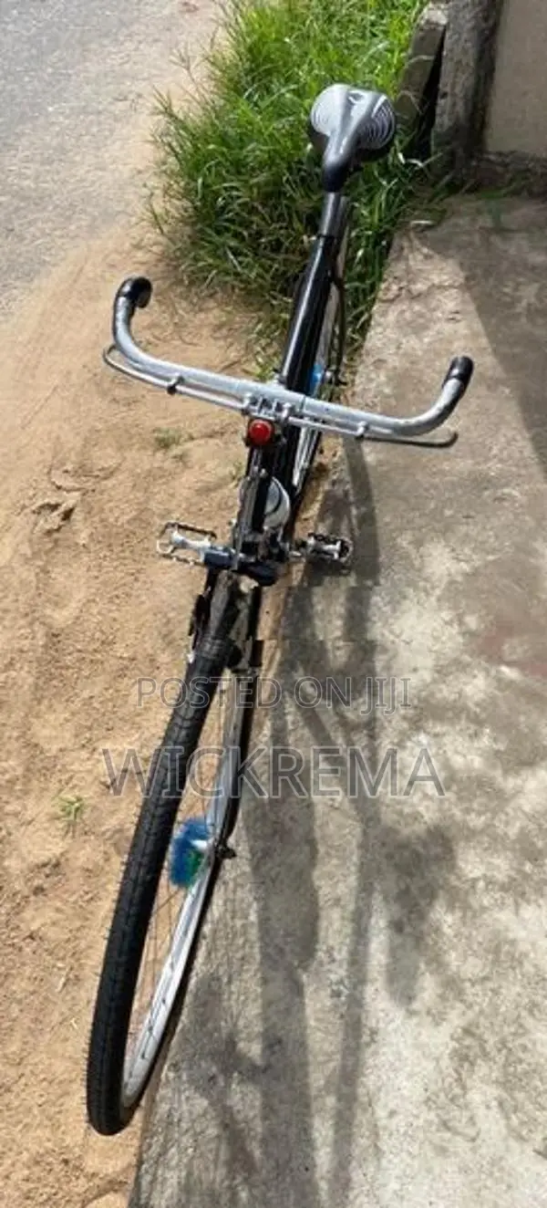 standard bicycle
