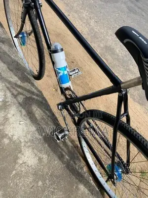 standard bicycle