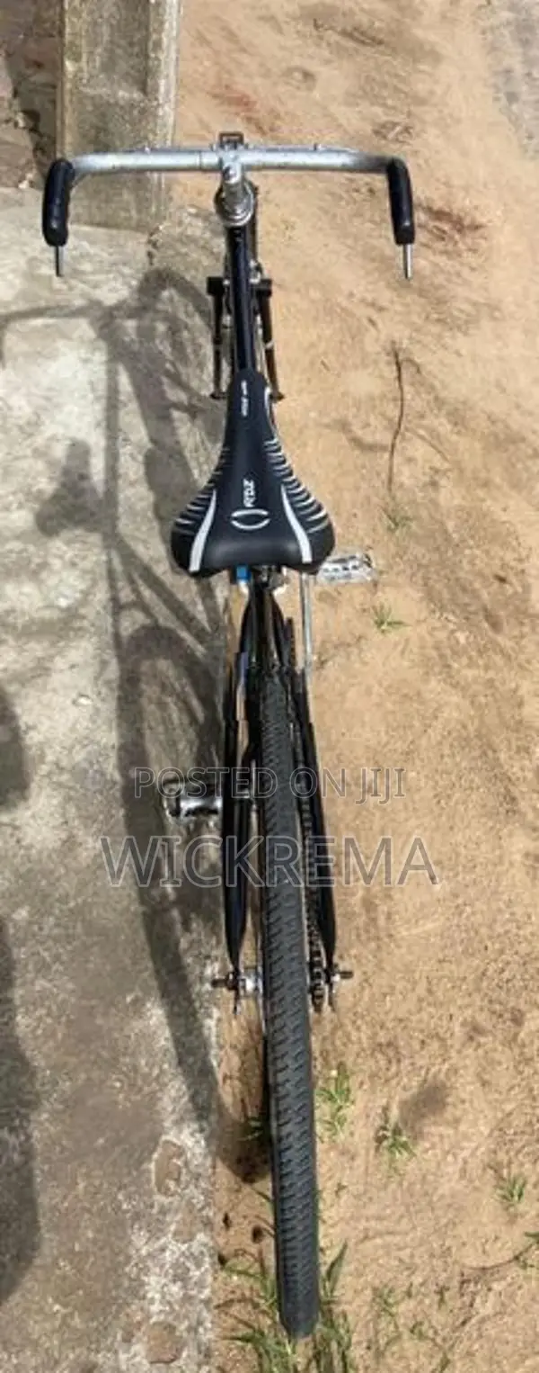 standard bicycle