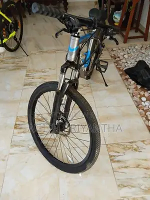 Mountain bike