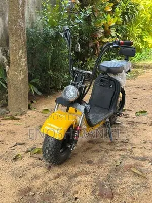 Electric Bike 2025