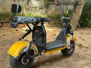 Electric Bike 2025
