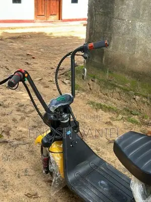 Electric Bike 2025