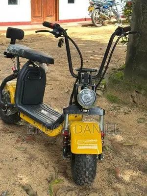 Electric Bike 2025