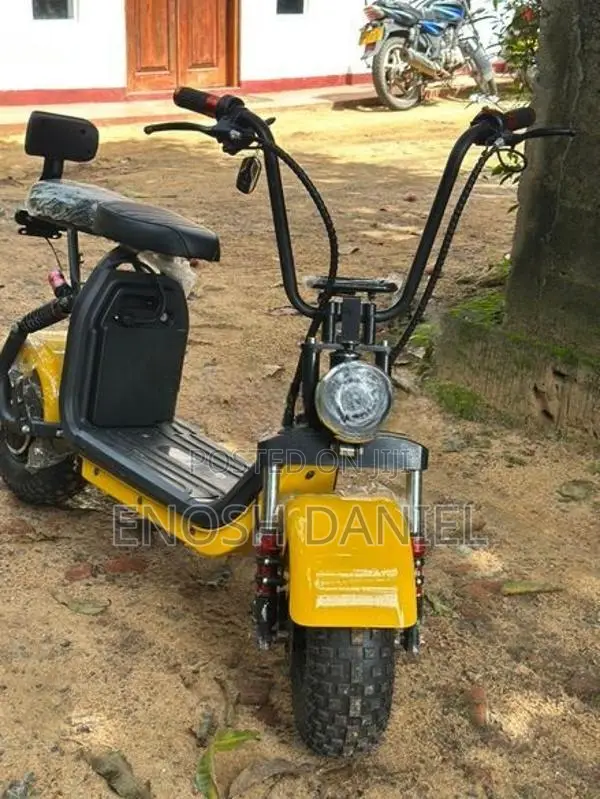 Electric Bike 2025