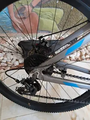 Mountain bike