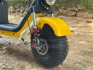 Electric Bike 2025