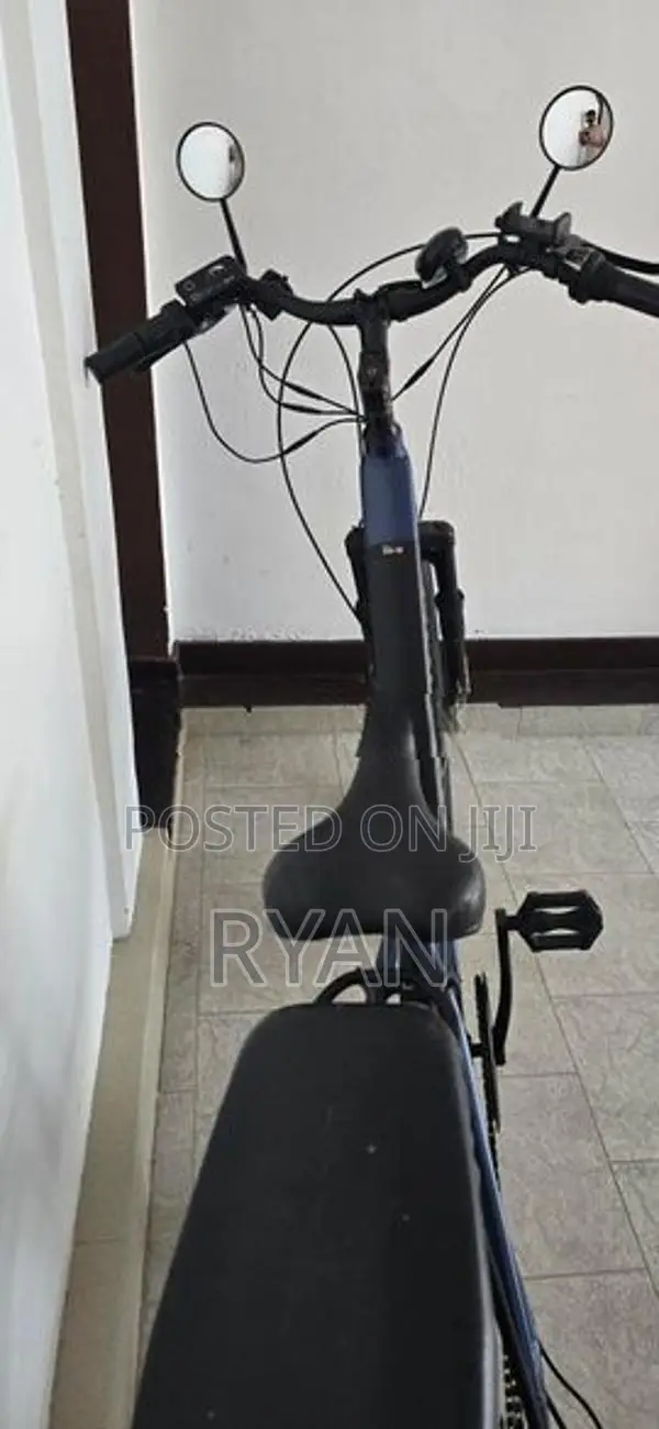 Stallion eBike 2023