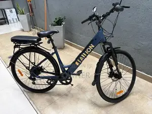E Stallion Electric Bicycle