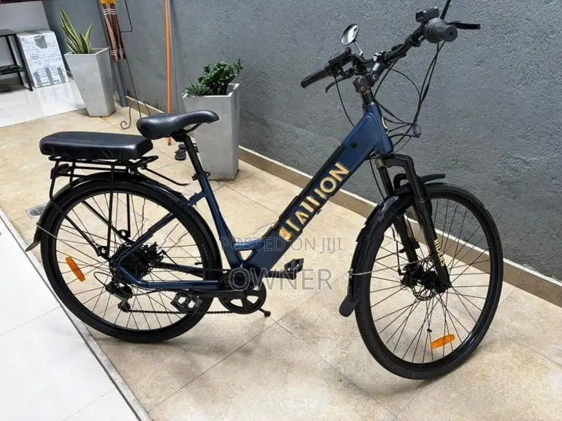 E Stallion Electric Bicycle