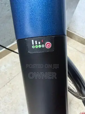 E Stallion Electric Bicycle
