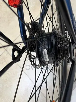 E Stallion Electric Bicycle