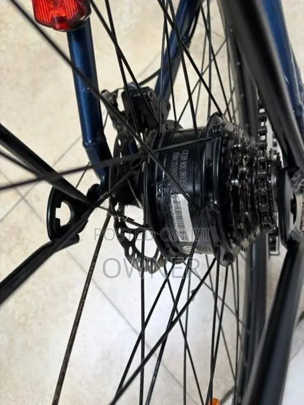 E Stallion Electric Bicycle