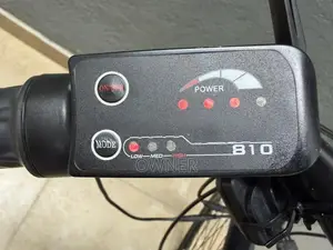 E Stallion Electric Bicycle