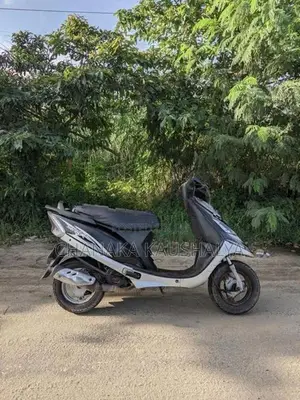 TVS Streak 2011