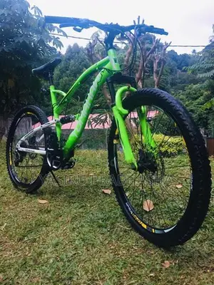 Tomahawk Bicycle