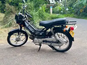Singer Safari 4s 2017