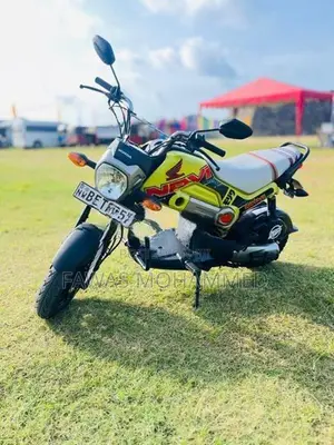 Honda Navi 2017
