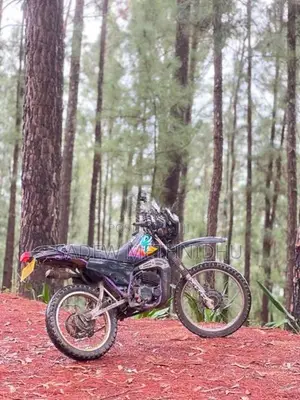 Yamaha DT 175 1998